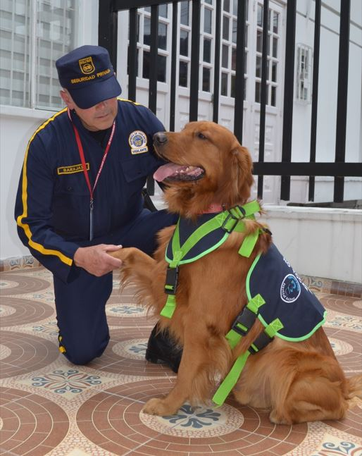 imagen 2025 10 20 173831906